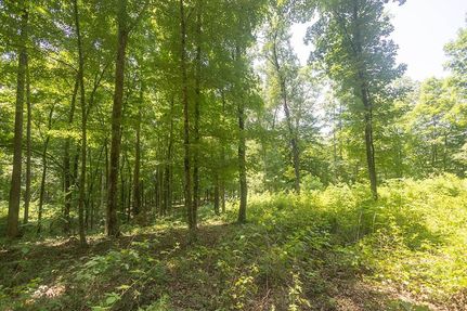 Residential Property for sale in McMinn County, Tennessee