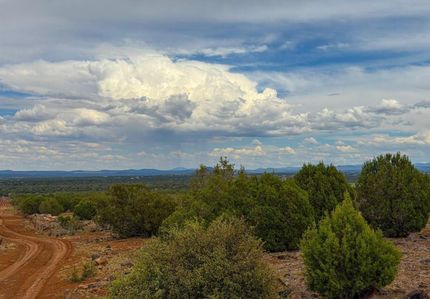 Timberland Property for sale in Navajo County, Arizona