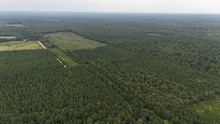 Timberland Property for sale in Calhoun County, Arkansas