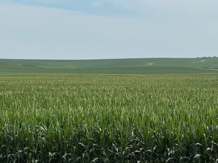 Farm Property for sale in Jasper County, Iowa