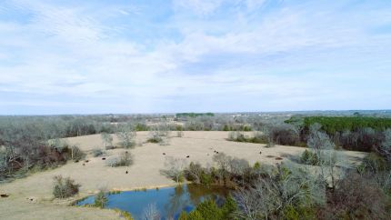 Undeveloped Land for sale in Van Zandt County, Texas