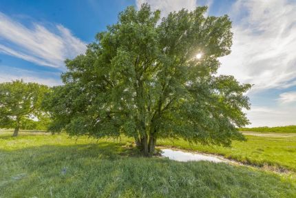 Ranch Property for sale in Coleman County, Texas