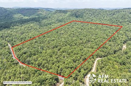 Timberland Property for sale in Montgomery County, Arkansas