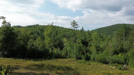 Farm Property for sale in Oxford County, Maine