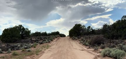 Timberland Property for sale in Apache County, Arizona