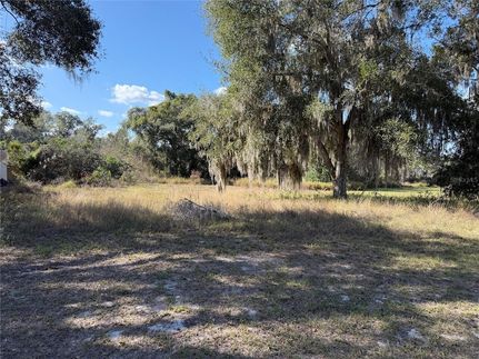 Timberland Property for sale in Lake County, Florida