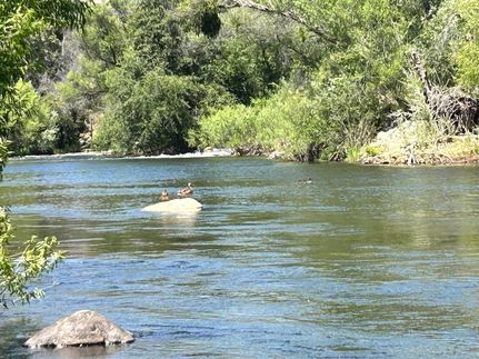 Farm Property for sale in Tulare County, California
