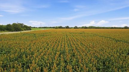 Recreational Property for sale in San Patricio County, Texas