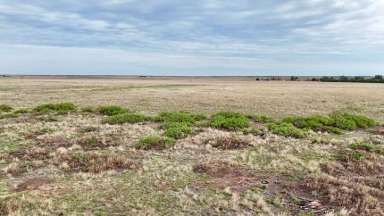 Farm Property for sale in Roosevelt County, New Mexico
