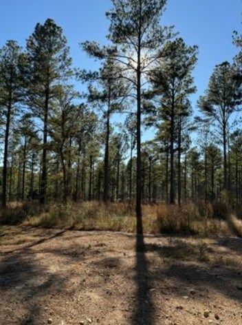 Farm Property for sale in Talladega County, Alabama