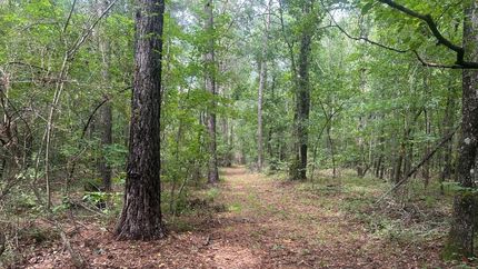 Farm Property for sale in Burke County, Georgia