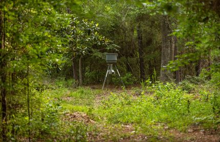 Farm Property for sale in Tyler County, Texas