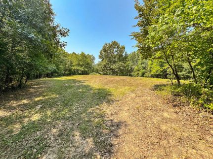 Undeveloped Land for sale in Lee County, Iowa