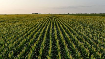 Farm Property for sale in Wayne County, Iowa