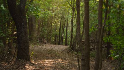 Ranch Property for sale in Smith County, Texas