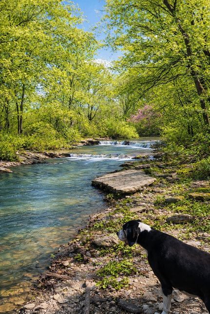 Ranch Property for sale in Oldham County, Kentucky