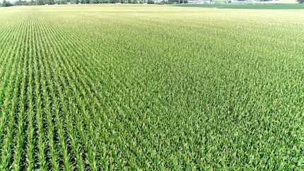 Farm Property for sale in Black Hawk County, Iowa