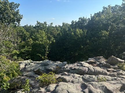 Farm Property for sale in Bledsoe County, Tennessee