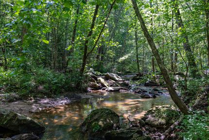 Recreational Property for sale in Madison County, Georgia