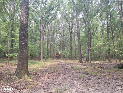 Farm Property for sale in Lowndes County, Alabama