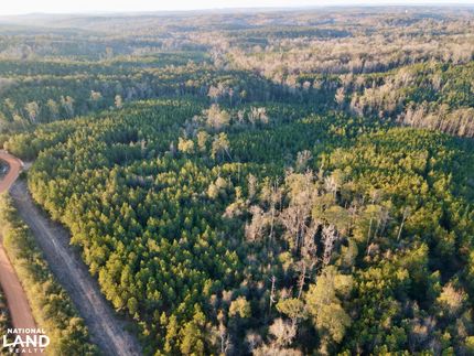 Farm Property for sale in Clarke County, Alabama