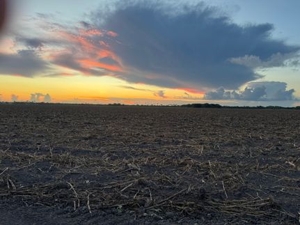 Farm Property for sale in Cameron County, Texas