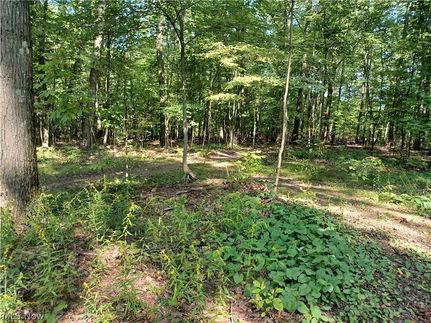 Farm Property for sale in Mahoning County, Ohio