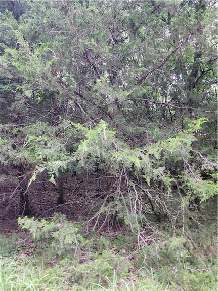 Ranch Property for sale in Linn County, Kansas