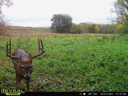 Farm Property for sale in Putnam County, Missouri