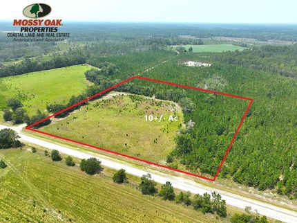 Farm Property for sale in Pierce County, Georgia