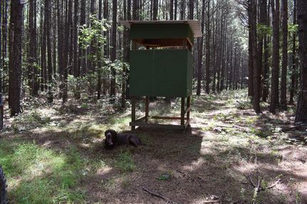 Farm Property for sale in Calhoun County, Arkansas