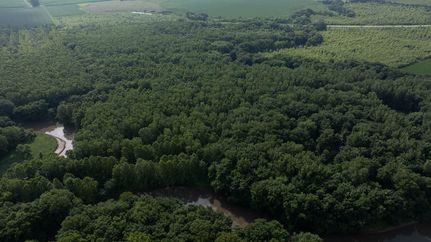Farm Property for sale in Henderson County, Illinois