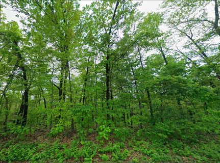 Farm Property for sale in Wright County, Missouri