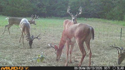 Ranch Property for sale in Johnston County, Oklahoma