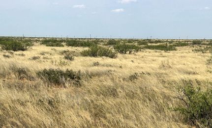 Ranch Property for sale in Lea County, New Mexico