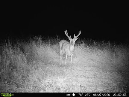 Farm Property for sale in Lyon County, Kansas