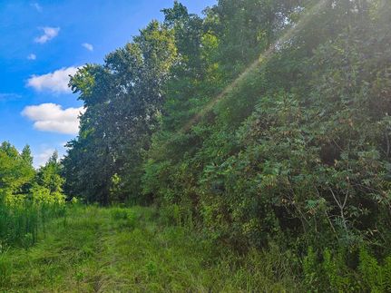 Farm Property for sale in Sevier County, Arkansas