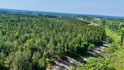 Ranch Property for sale in Wheeler County, Georgia