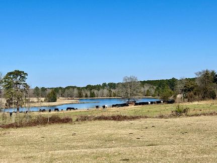 Ranch Property for sale in Cass County, Texas