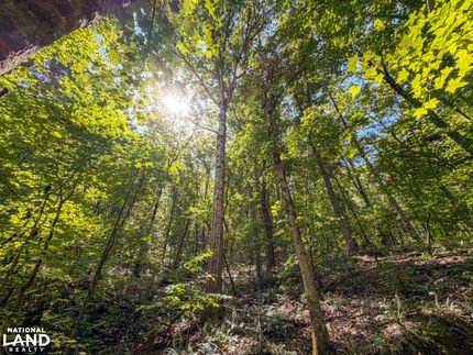 Farm Property for sale in Shelby County, Alabama