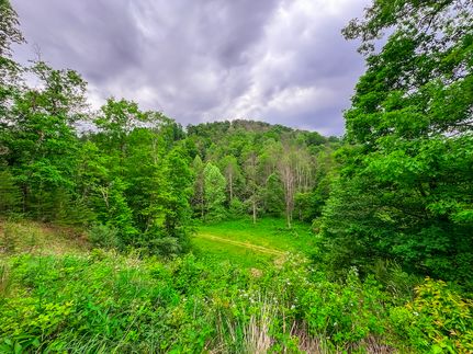 Ranch Property for sale in Tyler County, West Virginia