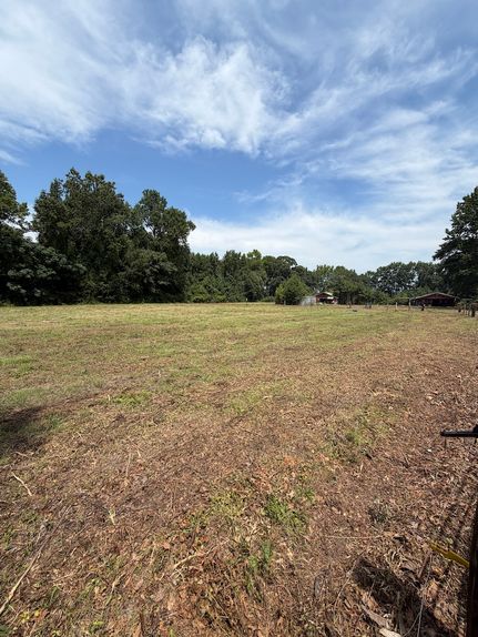 Undeveloped Land for sale in Wayne County, North Carolina