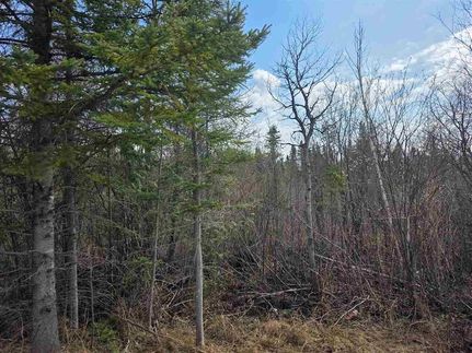Ranch Property for sale in Cheboygan County, Michigan