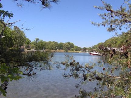 Timberland Property for sale in Northumberland County, Virginia