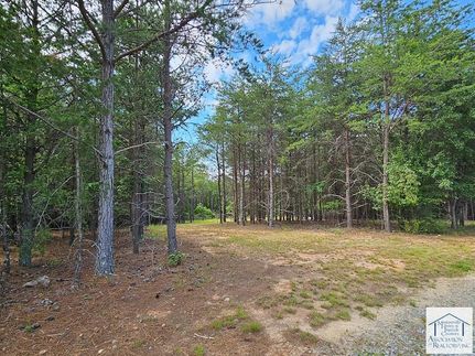 Ranch Property for sale in Henry County, Virginia