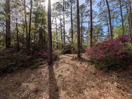 Farm Property for sale in Thomas County, Georgia