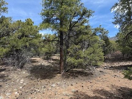 Recreational Property for sale in Taos County, New Mexico