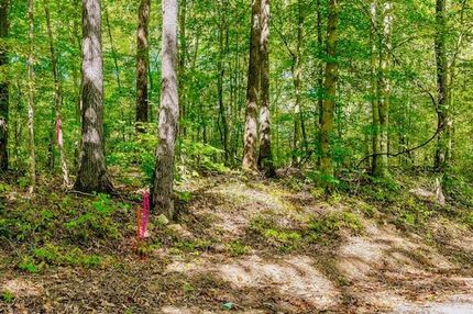 Timberland Property for sale in Pickett County, Tennessee