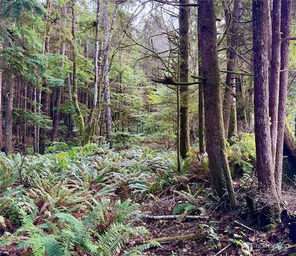Residential Property for sale in Grays Harbor County, Washington