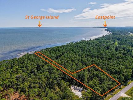 Farm Property for sale in Franklin County, Florida
